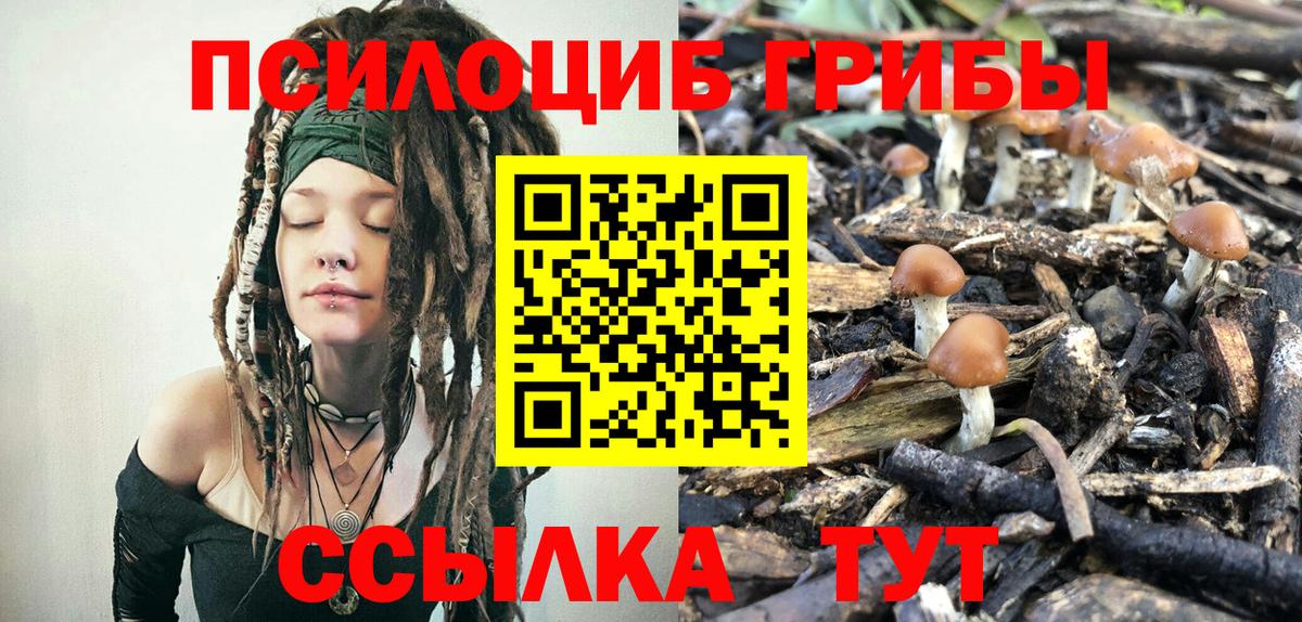 Псилоцибиновые грибы Magic Shrooms Павлово