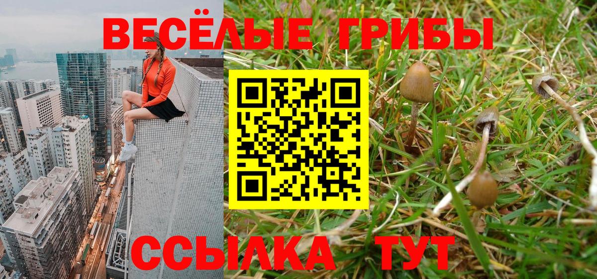 Павлово  Псилоцибиновые грибы Psilocybe  сколько стоит  Вход с VPN  Галлюциногенные грибы ЛСД 